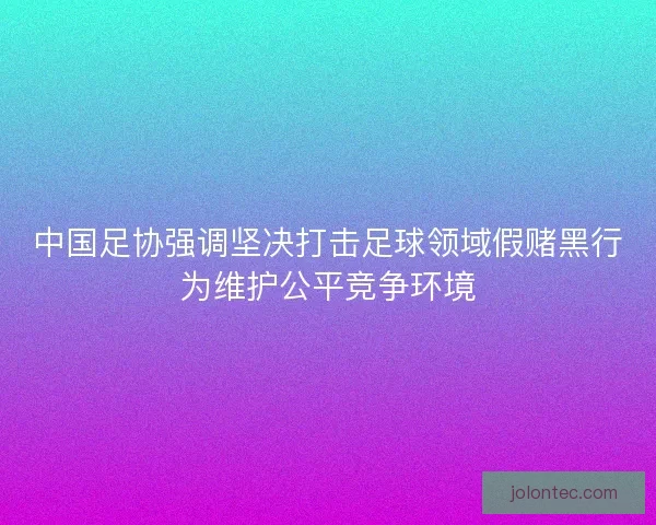 中国足协强调坚决打击足球领域假赌黑行为维护公平竞争环境